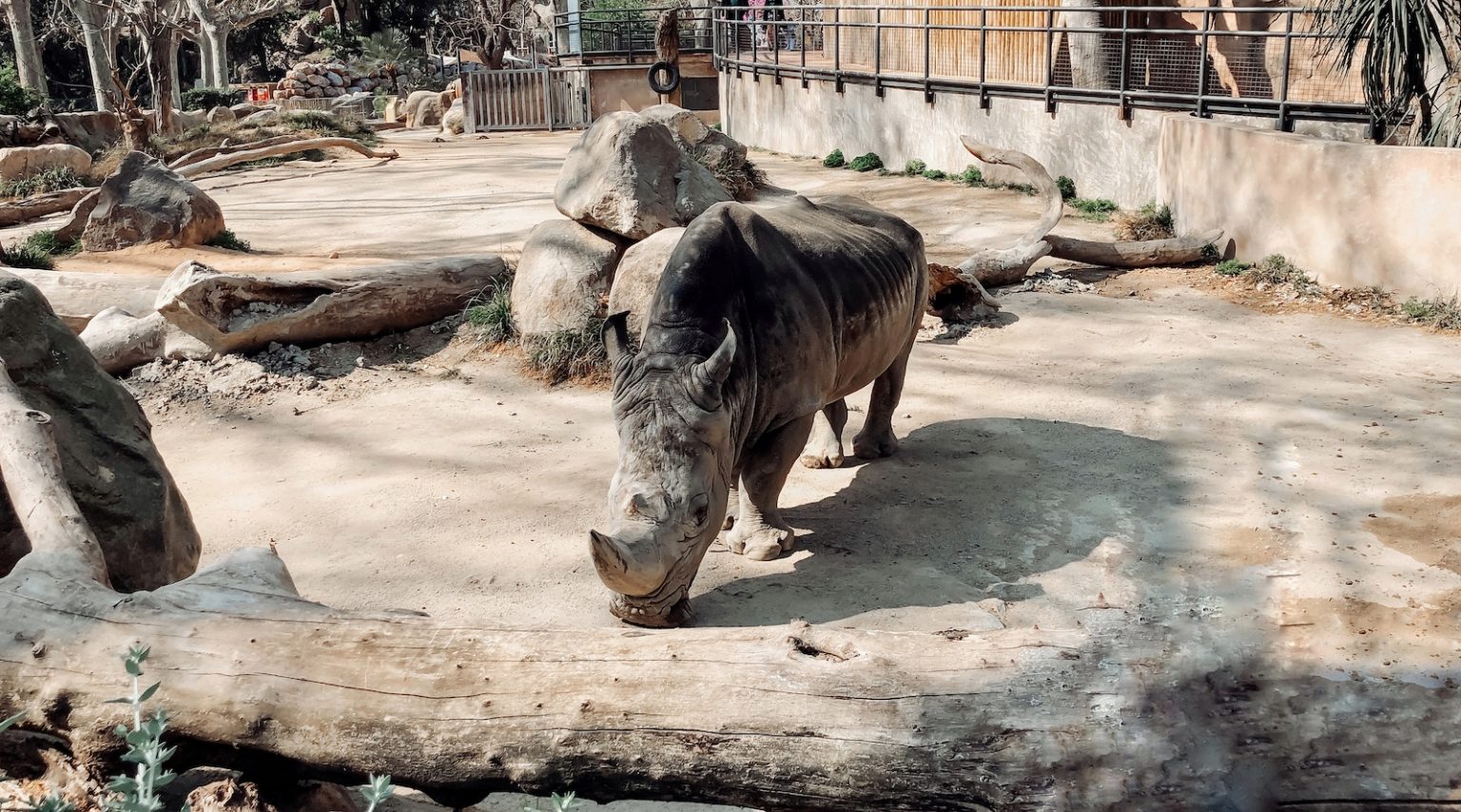 zoo Barcelona